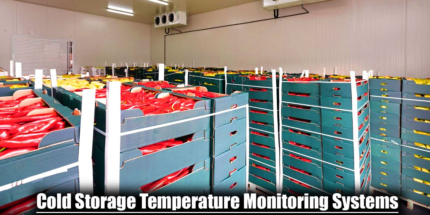 Cold Storage Temperature Monitoring Systems